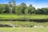 160, Upper Crystal Creek NSW 2484-Image