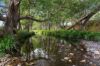 160, Upper Crystal Creek NSW 2484-Image