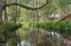 160, Upper Crystal Creek NSW 2484-Image