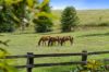 160, Upper Crystal Creek NSW 2484-Image