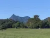 160 Upper Crystal Creek Road, Upper Crystal Creek, NSW 2484-Image