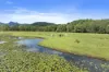 160 Upper Crystal Creek Road, Upper Crystal Creek, NSW 2484-Image