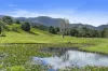 160 Upper Crystal Creek Road, Upper Crystal Creek, NSW 2484-Image
