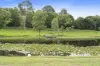 160 Upper Crystal Creek Road, Upper Crystal Creek, NSW 2484-Image