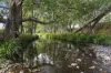 160 Upper Crystal Creek Road, Upper Crystal Creek, NSW 2484-Image