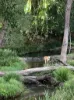 160 Upper Crystal Creek Road, Upper Crystal Creek, NSW 2484-Image