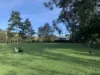 160 Upper Crystal Creek Road, Upper Crystal Creek, NSW 2484-Image