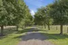 1600 Williams Road, Simpson, Vic 3266-Image