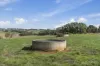 1600 Williams Road, Simpson, Vic 3266-Image
