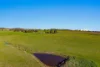 161 Stoney Creek Road, Mudgee, NSW 2850-Image