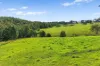 1620 Ebsworth Road, Glen Martin, NSW 2321-Image