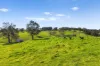 1620 Ebsworth Road, Glen Martin, NSW 2321-Image