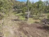1621 Bakers Road, Putty NSW 2330-Image