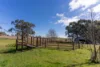 1629 Darbys Falls Road, Cowra, NSW 2794-Image