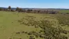163 Craigie Road, Mila, NSW 2632-Image