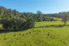 1635 Lorne Road, Kerewong, NSW 2439-Image