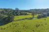 1635 Lorne Road, Kerewong, NSW 2439-Image