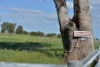16387 Oxley Highway, Coonabarabran NSW 2357-Image