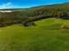 164 Keenans Road, Batlow NSW 2730-Image