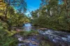 164 Keenans Road, Batlow NSW 2730-Image