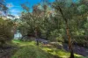 164 Keenans Road, Batlow NSW 2730-Image