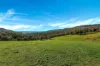 164 Keenans Road, Batlow NSW 2730-Image