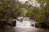 164 Keenans Road, Batlow NSW 2730-Image