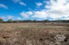 1642 Torrington Road, Stannum, NSW 2371-Image