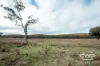 1642 Torrington Road, Stannum, NSW 2371-Image