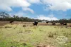 1642 Torrington Road, Stannum, NSW 2371-Image