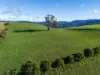 1648 Preston Road, Preston, Tas 7315-Image