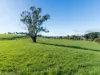 1648 Preston Road, Preston, Tas 7315-Image