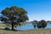 165 Harveys Road, Oberon, NSW 2787