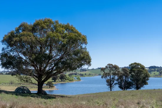 165 Harveys Road, Oberon, NSW 2787