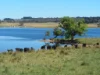 165 Harveys Road, Oberon, NSW 2787-Image