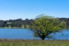 165 Harveys Road, Oberon, NSW 2787-Image