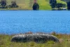 165 Harveys Road, Oberon, NSW 2787-Image
