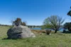 165 Harveys Road, Oberon, NSW 2787-Image