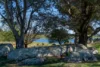 165 Harveys Road, Oberon, NSW 2787-Image