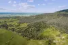 165 Richardsons Road, Raglan, Vic 3373-Image