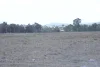 165 Watsons Road, Mount Tarampa, Qld 4311-Image