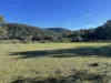 1657 Kangarooby Road, Gooloogong, NSW 2805-Image