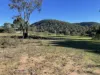1657 Kangarooby Road, Gooloogong, NSW 2805-Image