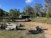 1657 Kangarooby Road, Gooloogong, NSW 2805-Image