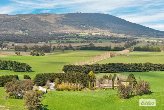 166 Anderson Road, Newham, Vic 3442 - For Sale