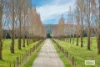 166 Anderson Road, Newham, Vic 3442-Image