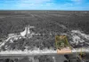 166 Birthamba Road, South Kolan, Qld 4670
