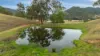 1664 Ogunbil Road, Ogunbil, NSW 2340-Image