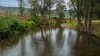 1664 Ogunbil Road, Ogunbil, NSW 2340-Image