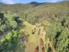 167 Craft Road, Wollombi, NSW 2325-Image